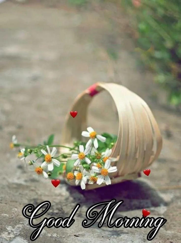 Good Morning Vase with White Flowers Free Wallpaper