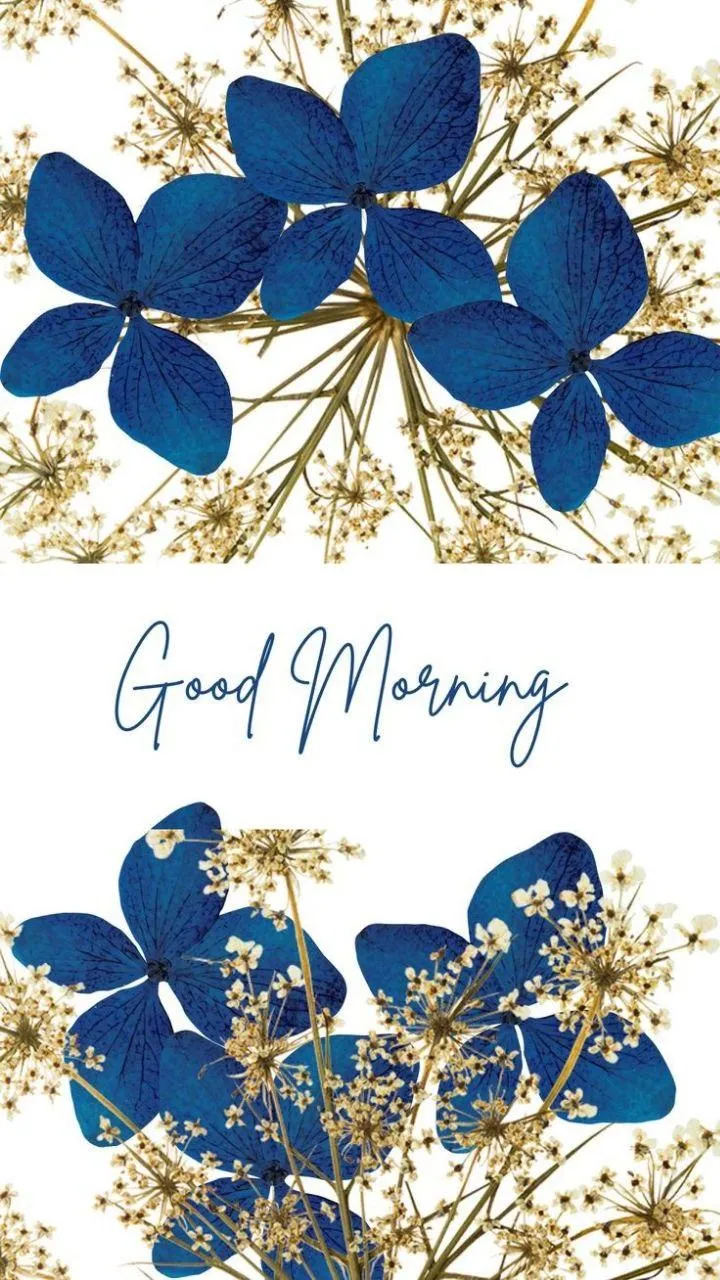 Good Morning with Beautiful Blue Flowers Background