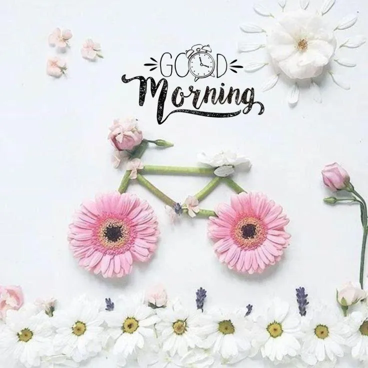 Good Morning with Flowers and Bicycle Illustration
