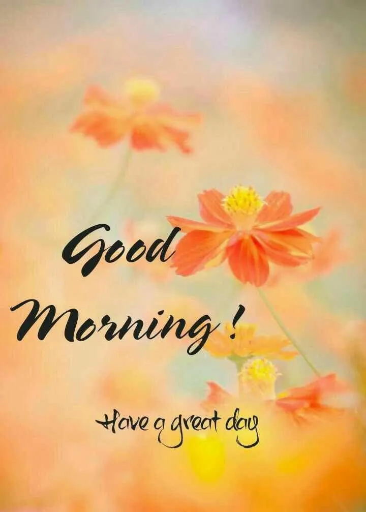 Good Morning with Orange Flower and Motivational Quote