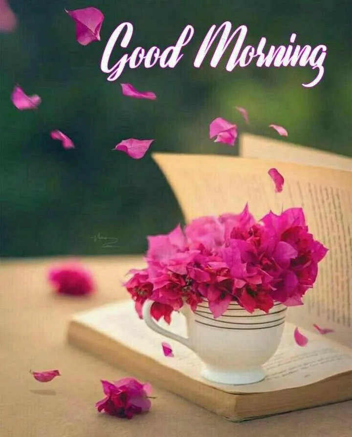 Good Morning with Pink Flower and Candle Wallpaper