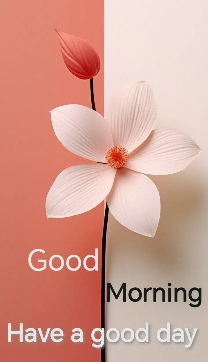 Good Morning with Pink Flower and Text Hd Wallpaper