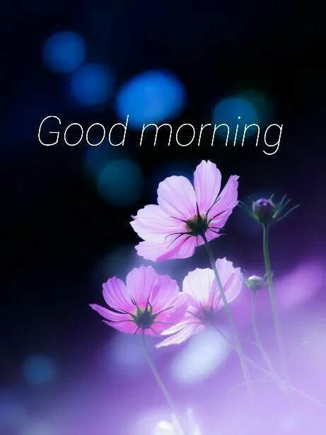 Good Morning with Purple Flower and Dark Background