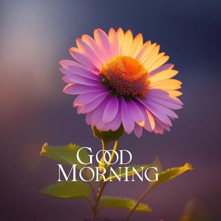 Good Morning with Purple Flower and Sunlight Wallpaper