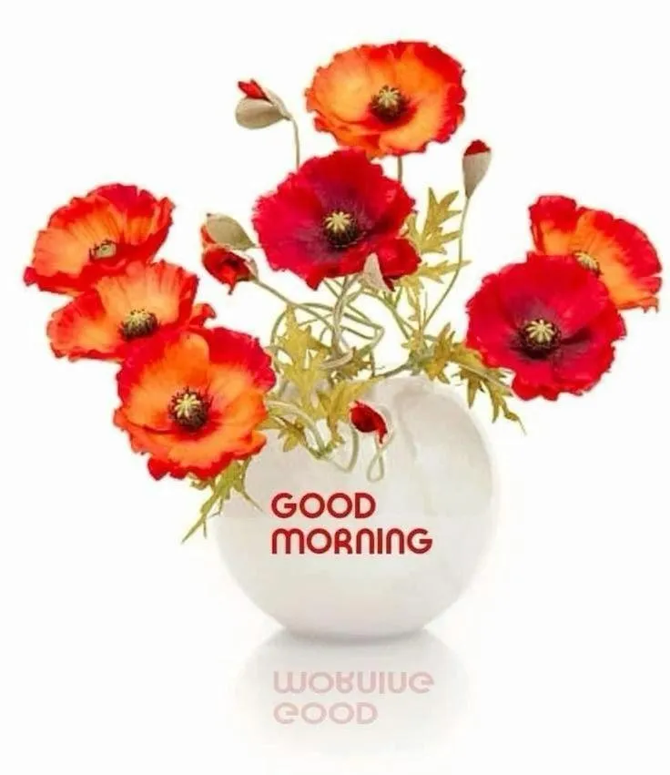 Good Morning with Red Poppy Flowers in White Vase Wallpaper