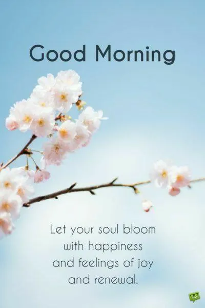 Good Morning with White Blossoms and Blue Background