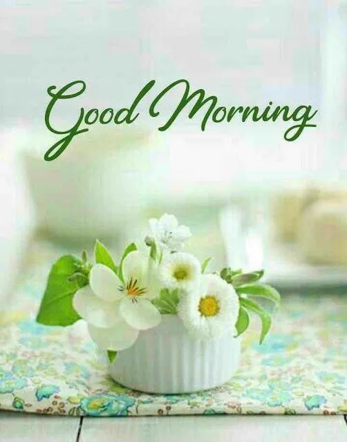 Good Morning with White Flowers and Light Green Background