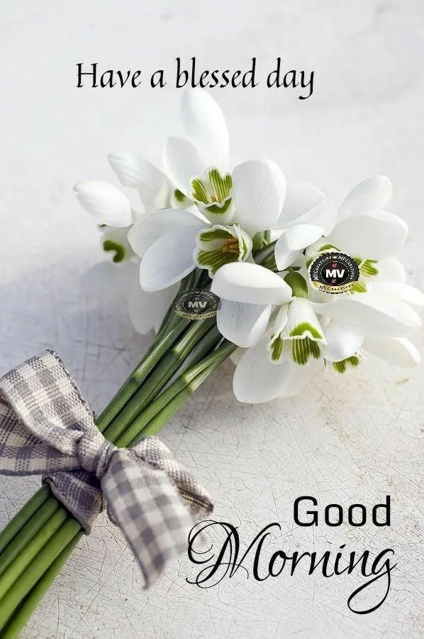 Good Morning with White Flowers and Soft Light Background