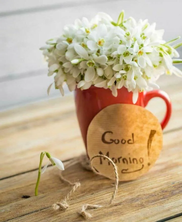 Good Morning with White Flowers in Brown Cup Free Wallpaper