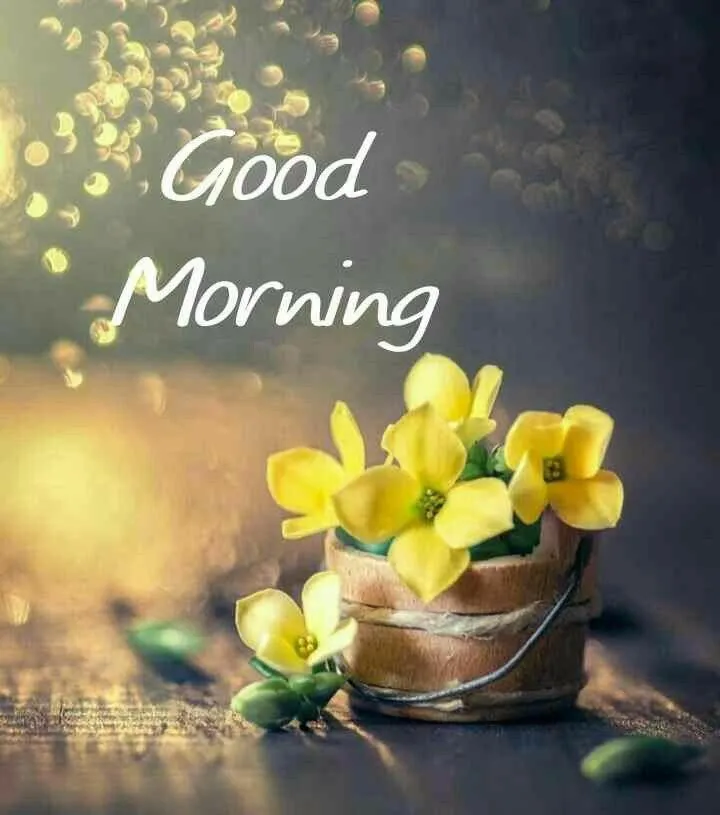 Good Morning with Yellow Flowers and Inspirational Quote