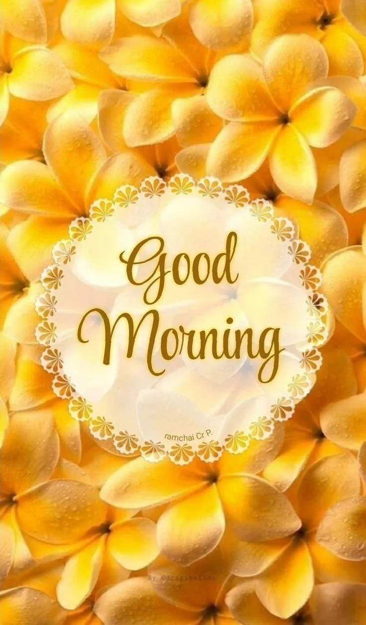 Good Morning Yellow Flower and Warm Text Wallpaper