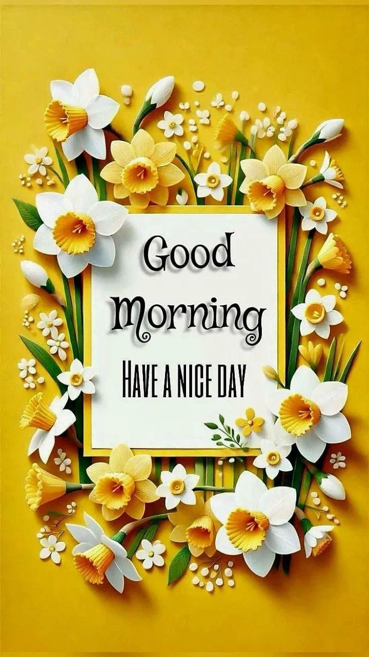 Good Morning Yellow Flowers and White Blossom Frame