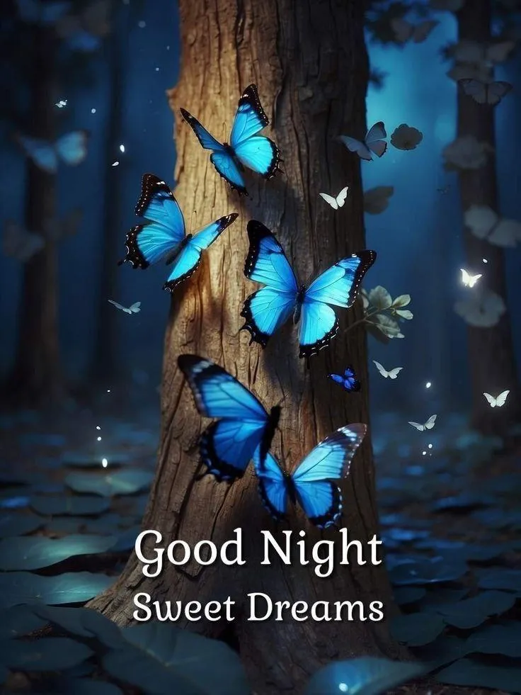 Good Night Blue Butterfly and Moonlight Free Hd Image