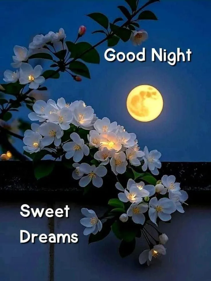 Good Night Blue Flowers on Dark Background Image