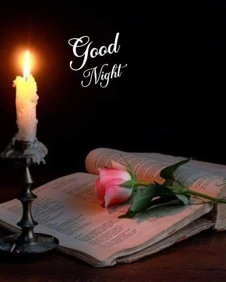 Good Night Candle and Flower Free Hd Wallpaper Download