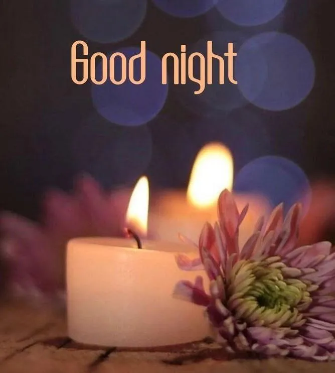 Good Night Candle and Flower with Soft Light Image