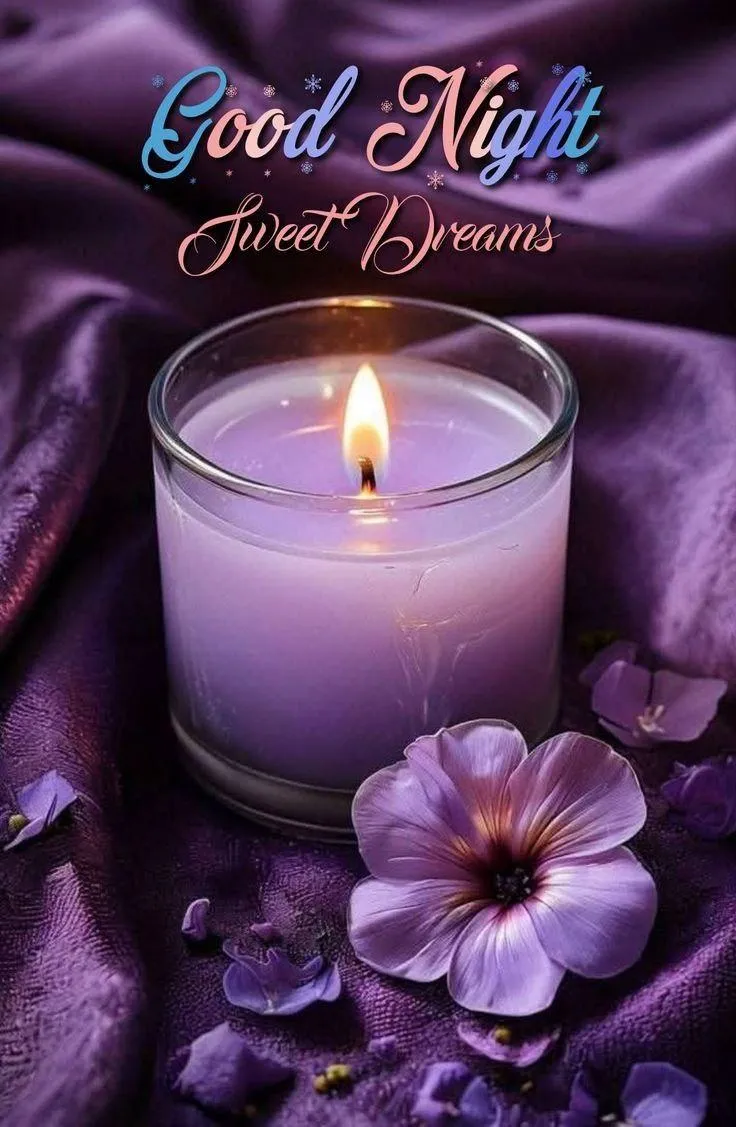 Good Night Candle with Purple Flowers on a Dark Background