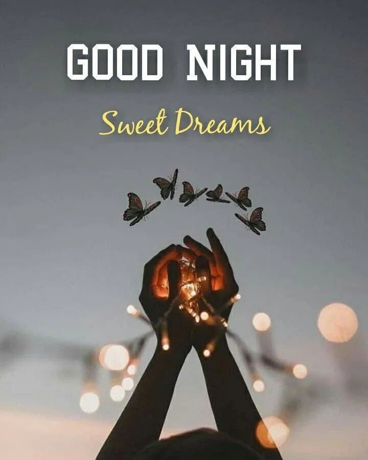 Good Night Couple Hugging in Dark Free Hd Wallpaper