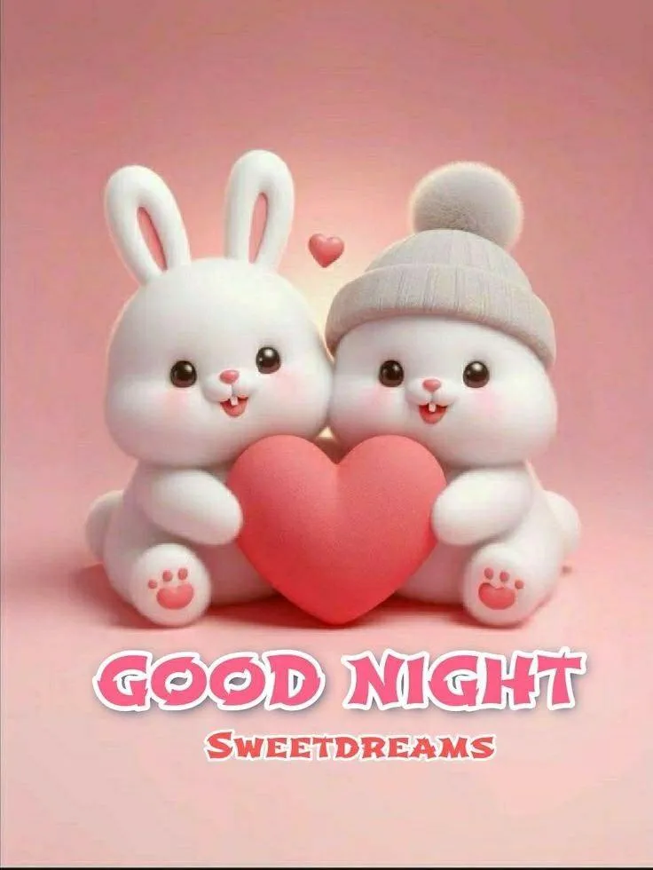 Good Night Cute Bunny Dolls with Night Time Wishes