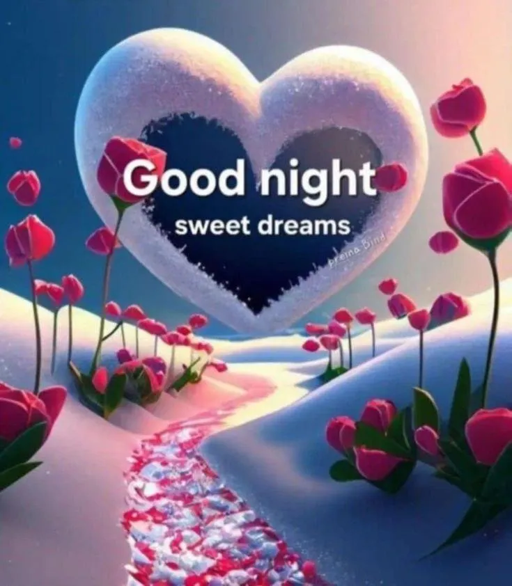 Good Night Heart Made of Lights and Pink Petals Image