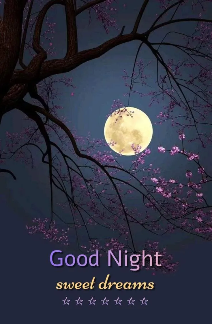 Good Night Message with Moonlight in a Dark Forest