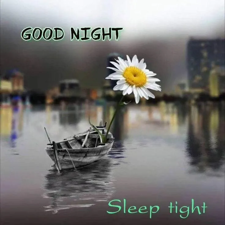 Good Night Message with White Flower on Water Wallpaper