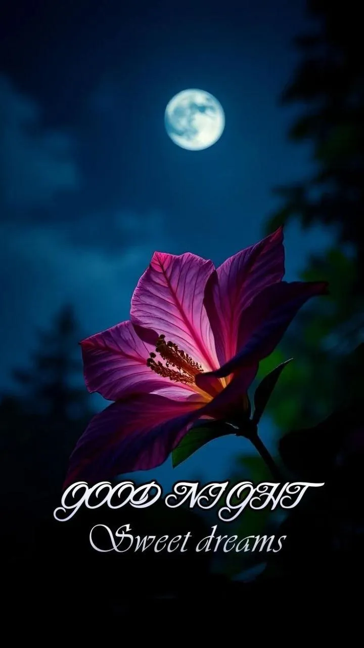 Good Night Moon and Starry Sky with Peaceful Message