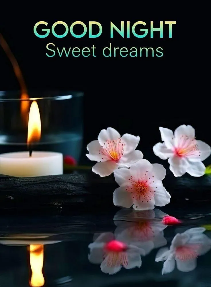 Good Night Pink Flowers on Dark Background with Starry Effect