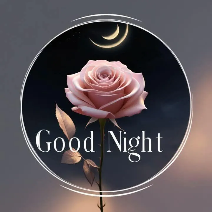 Good Night Pink Rose with Dark Circular Background