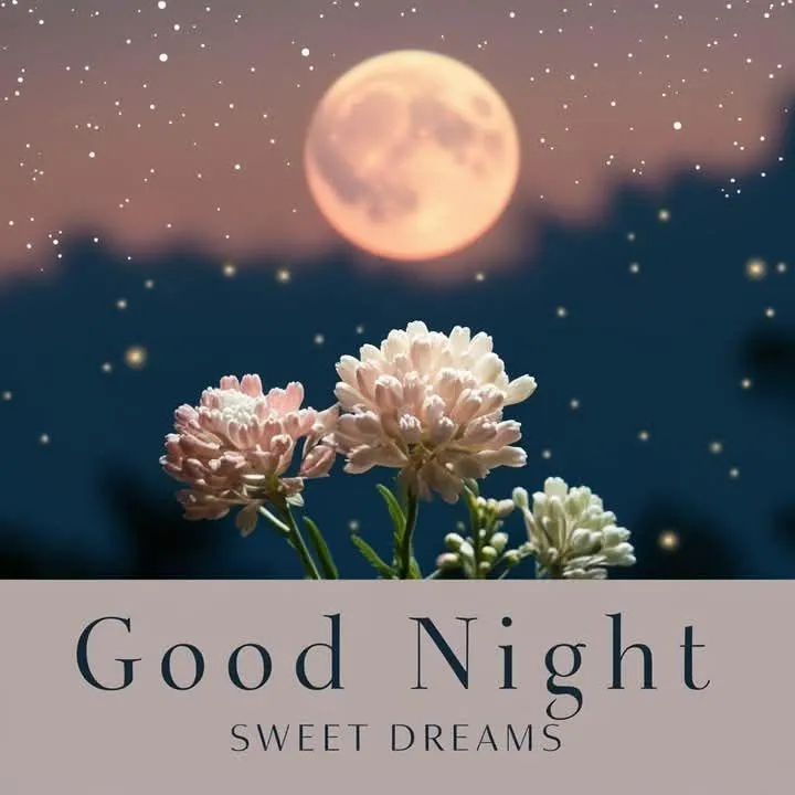 Good Night Quote Under the Stars and Full Moon Image