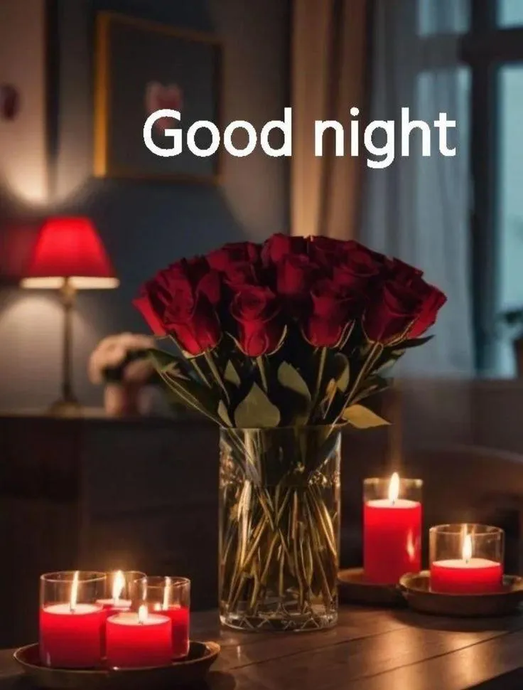 Good Night Red Roses with Candlelight in the Dark Image