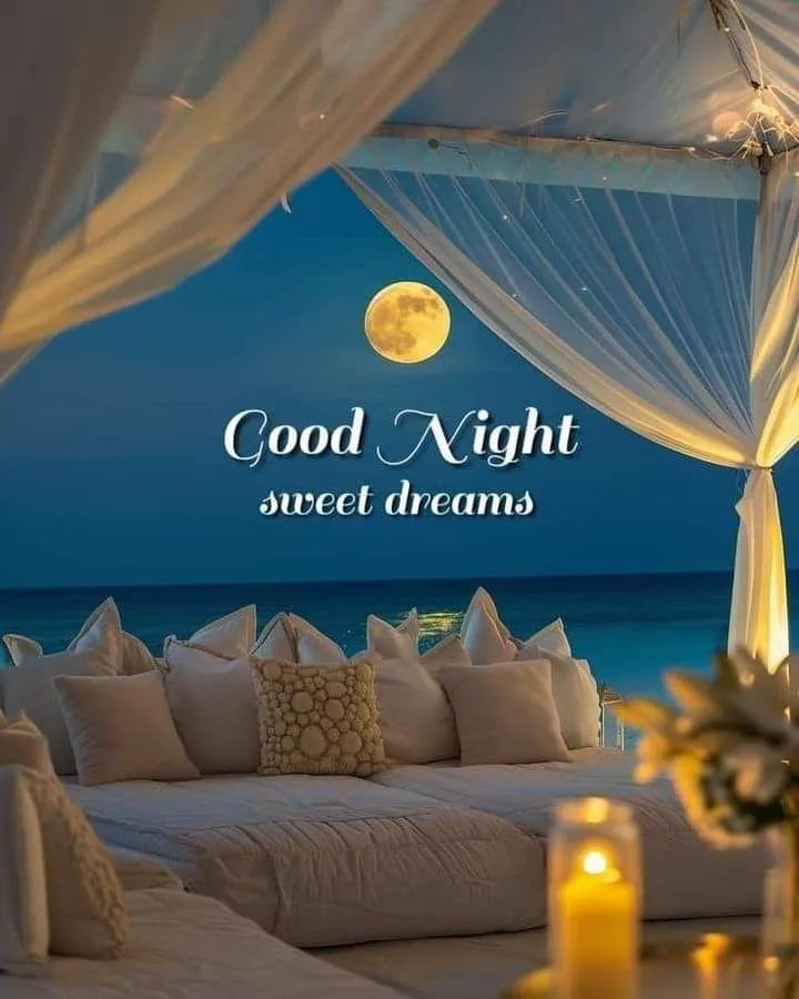 Good Night Relaxing Scene on Sofa Free Hd Wallpaper