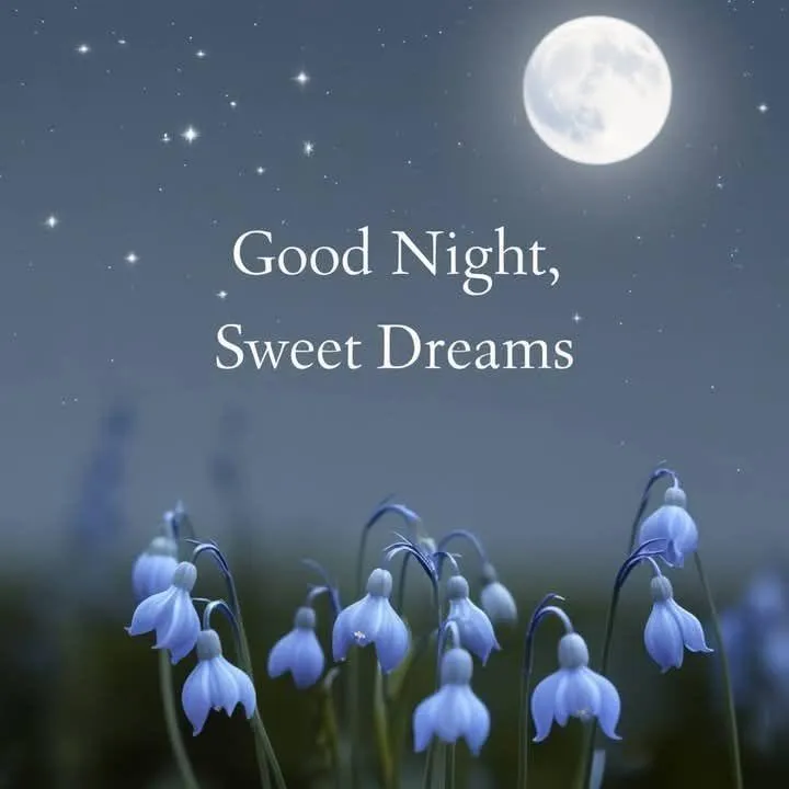 Good Night Sweet Dreams with Blue Flowers and Moon