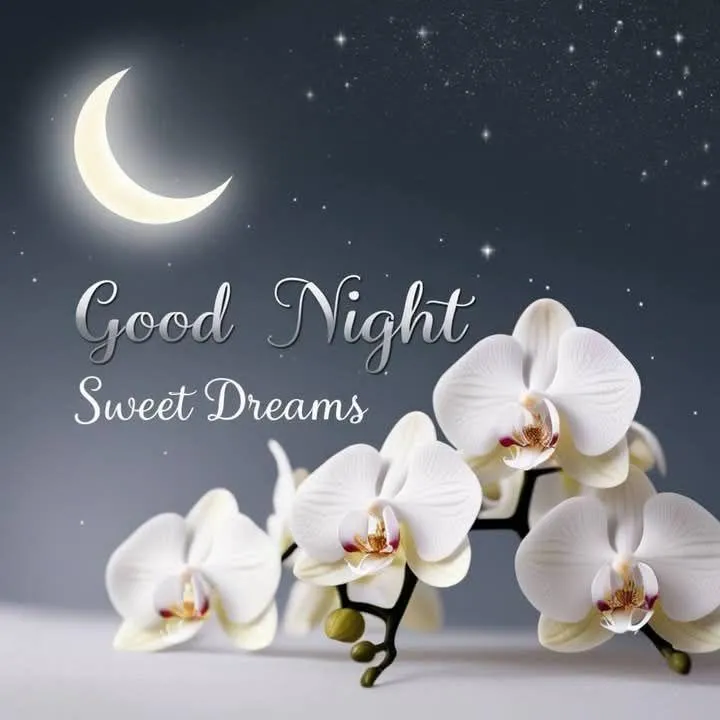 Good Night Sweet Dreams with White Orchid and Moon