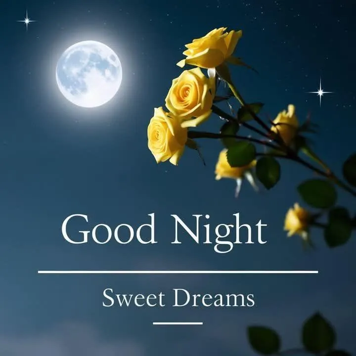 Good Night Sweet Dreams with Yellow Flower on Blue Back