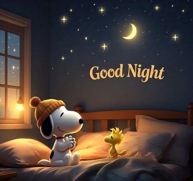 Good Night Teddy Bear Looking At the Starry Sky Image