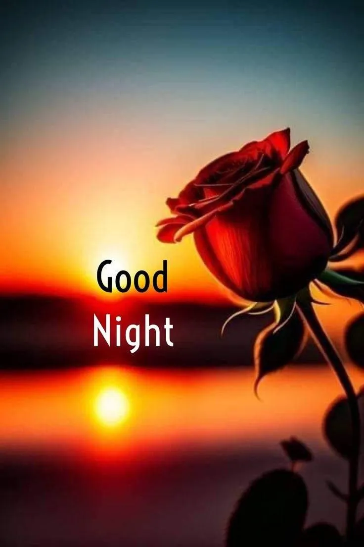 Good Night Text with Sunset and Horse Silhouette Wallpaper