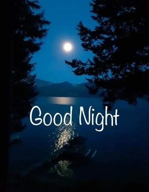 Good Night Text with Trees and Moonlight Wallpaper