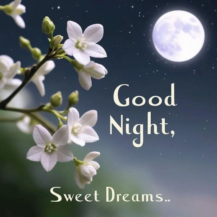 Good Night White Flower and Moon with Gentle Night Message