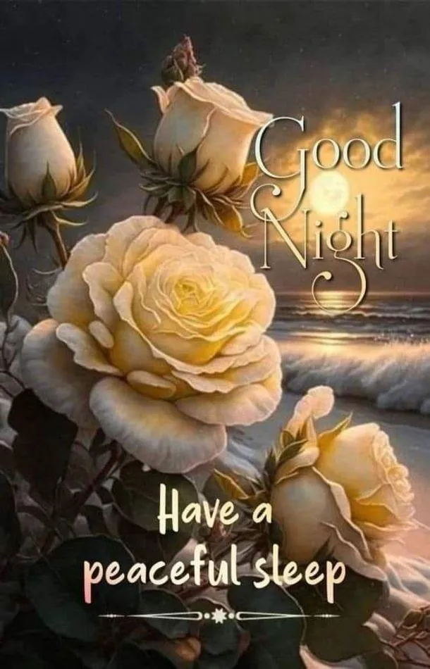Good Night White Roses with Peaceful and Calm Feelings