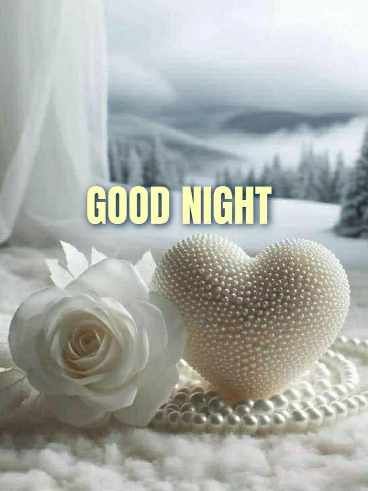 Good Night White Roses with Soft White Background