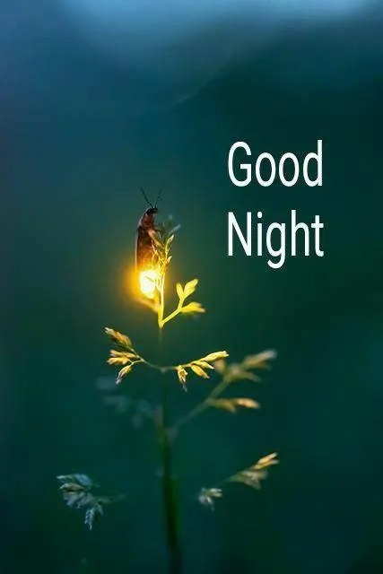 Good Night Wishes with Glowing Light and Dark Background