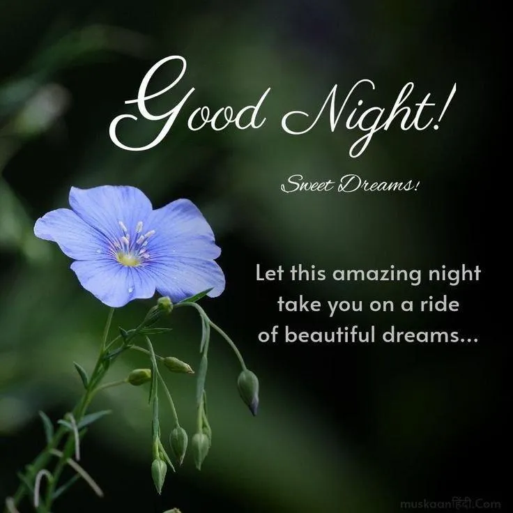 Good Night Wishes with Glowing Text and Nature Scene
