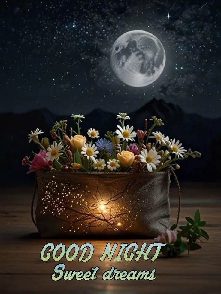 Good Night with Night Cityscape and Moonlight Image