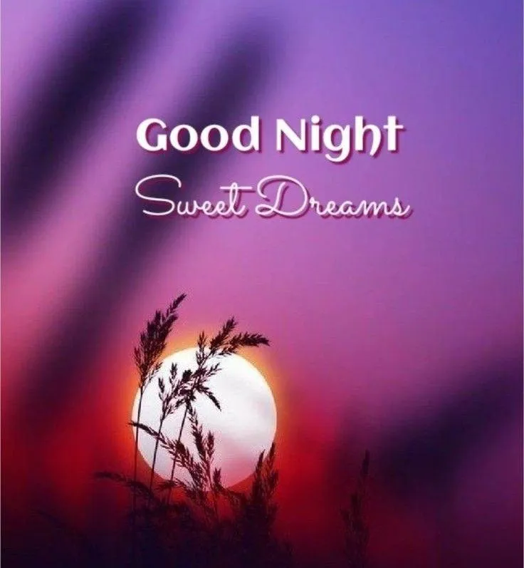 Good Night with Pumpkin and Candle Free Hd Wallpaper