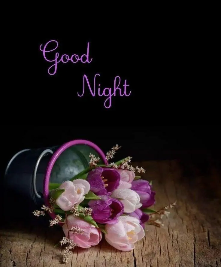 Good Night with Purple Flowers and Dark Background