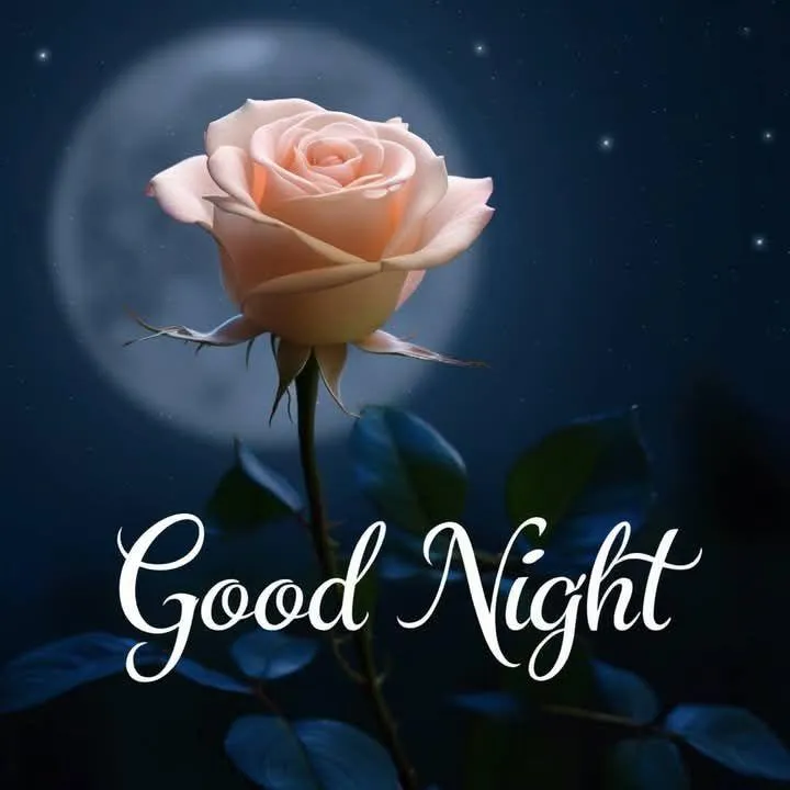 Good Night with Single Pink Rose and Starry Sky Wallpaper