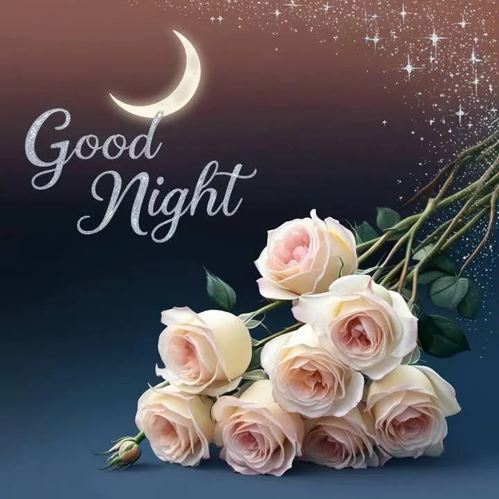 Good Night with Soft Pink Roses and Gentle Light Image