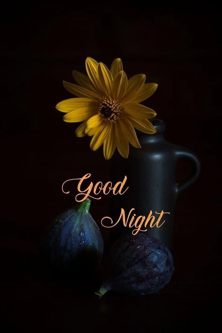 Good Night Yellow Flower on Black Background Free Image