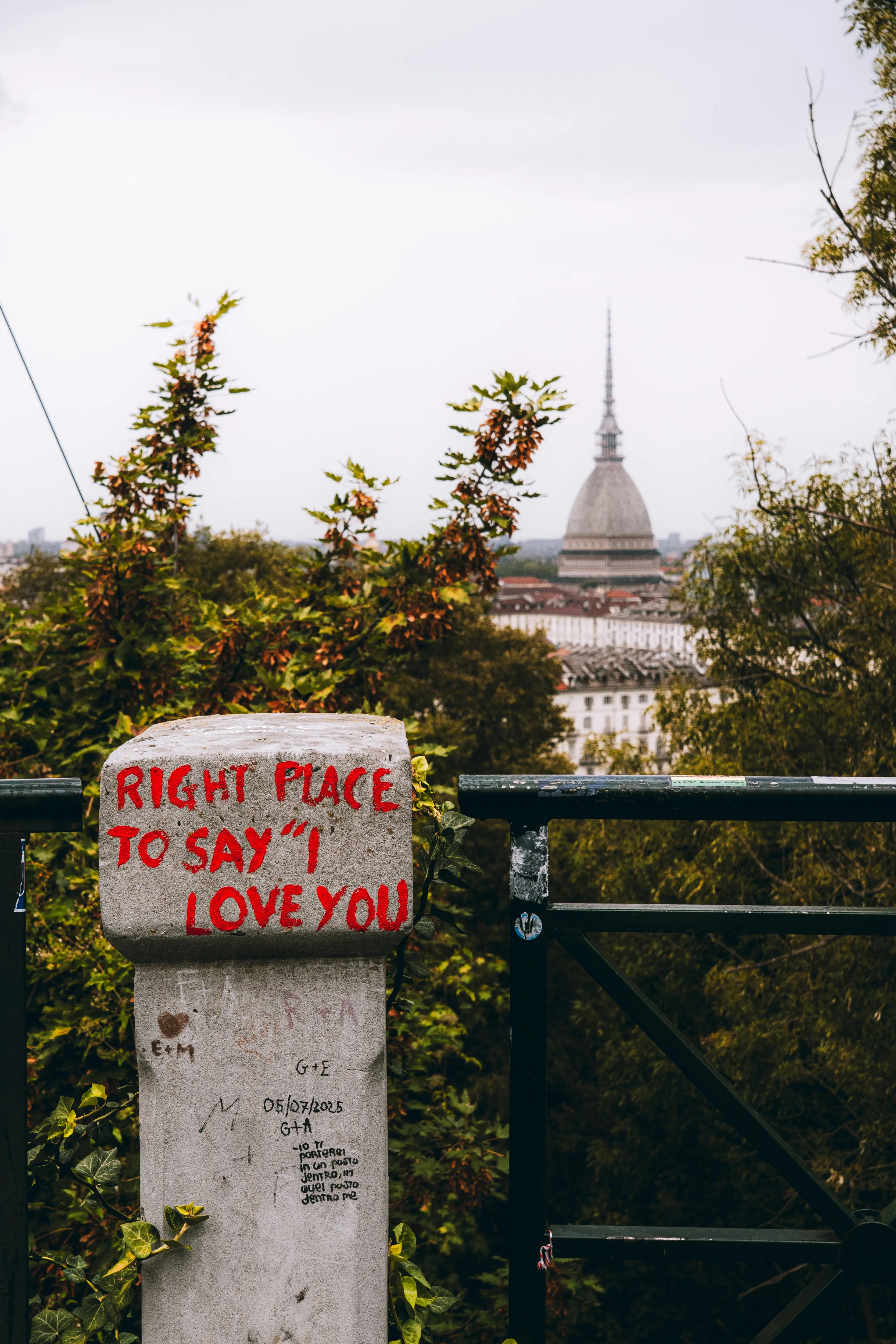 Great View Sign Surrounded by Lush Green Foliage Wallpaper